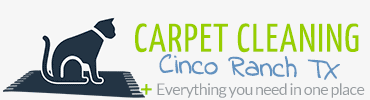 carpetcleaningcincoranch.com